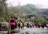 虎丘『雲宕寺』の全景