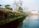 太湖の乗船場前の公園(蓮池)