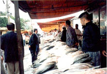 �u���W���̑咩�s�i��������R�[�i�[�j