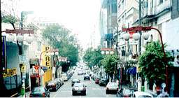 �T���p�E���s���@���������m�l�X