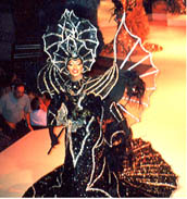 華麗なサンバショー