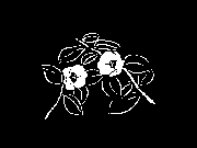 �΂�