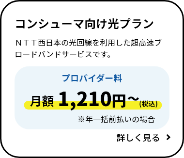 コンシューマ向け光プラン