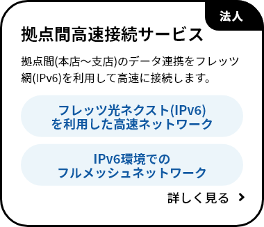 拠点間高速接続サービス